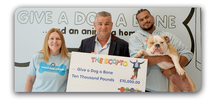 Give a Dog a Bone